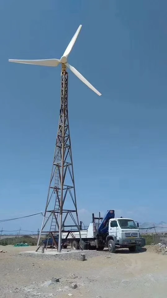 CE Poland Germany Ukraine Hot  - Wind Turbine Generator recension och pris