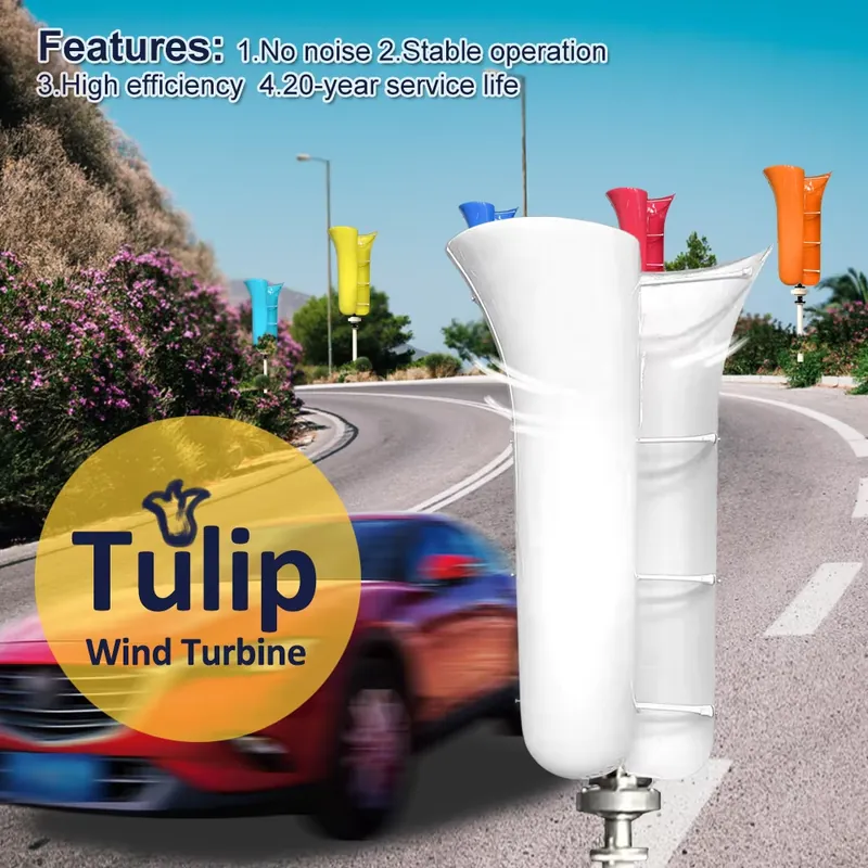 New Arrival Tulip Shape 800W 1 - Wind Turbine Generator recension och pris