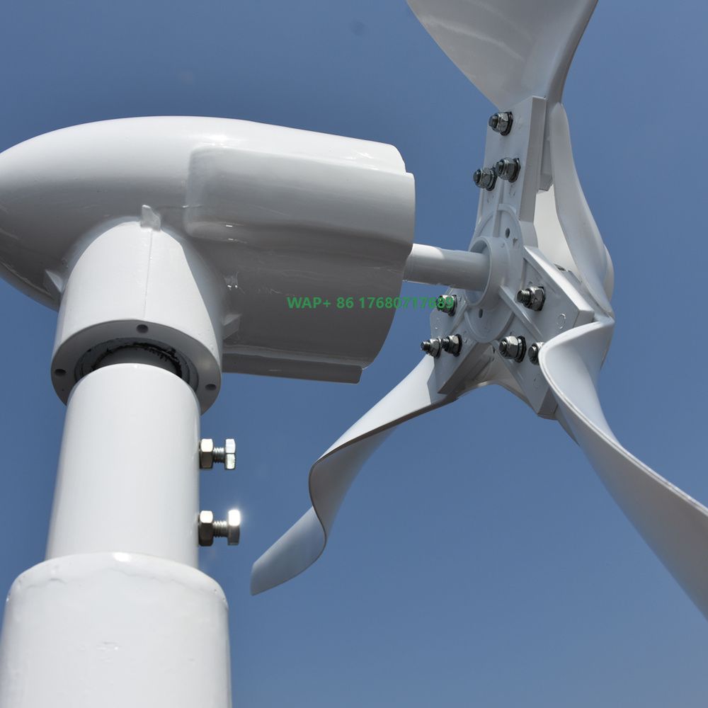 Free Energy Professional Custo - Wind Turbine Generator recension och pris