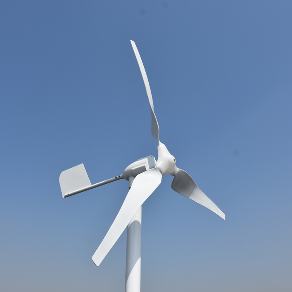 Free Energy Professional Custo - Wind Turbine Generator recension och pris