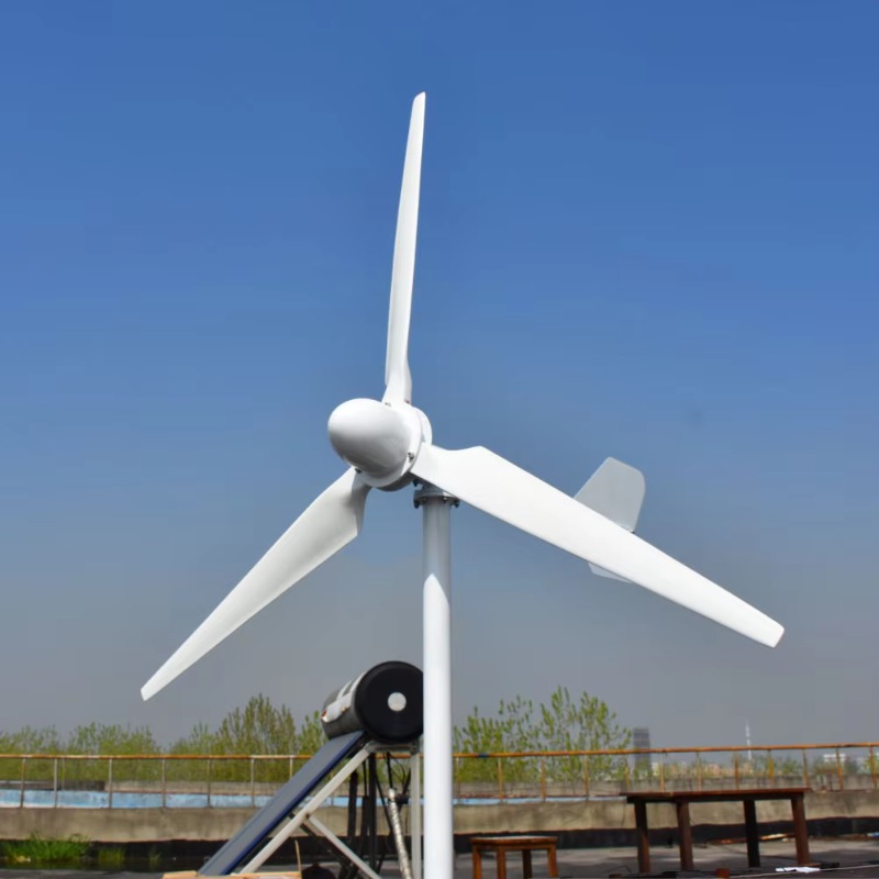 【Best-selling】3KW Wind Solar H - Wind Turbine Generator recension och pris