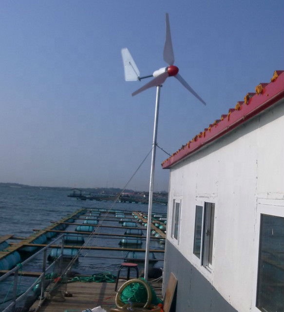 HOT SALE! High Efficiency 12v  - Wind Turbine Generator recension och pris