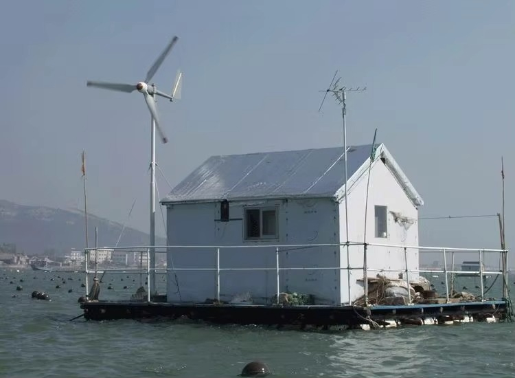 HOT SALE! High Efficiency 12v  - Wind Turbine Generator recension och pris